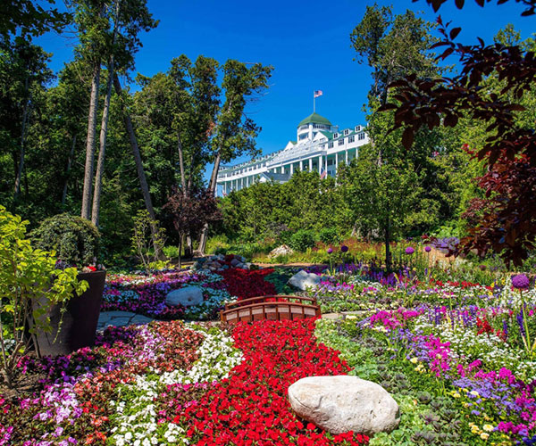 a garden with flowers and trees in the background