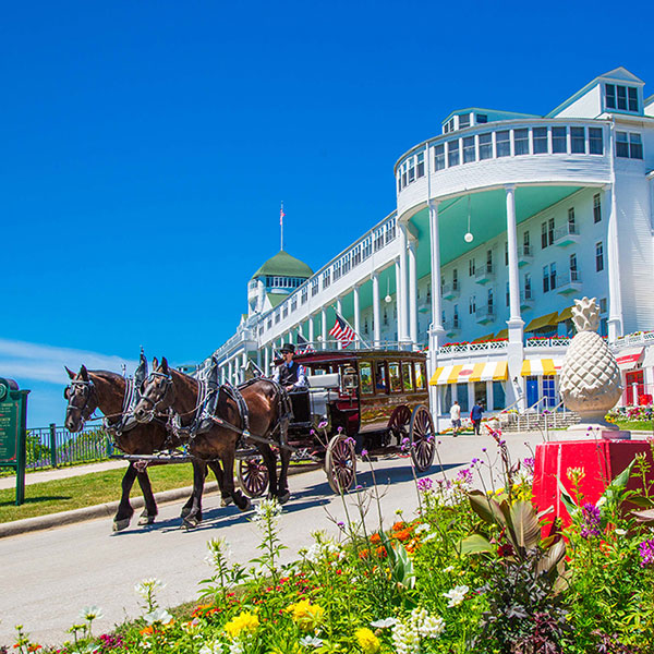 a horse drawn carriage in front of a large white building