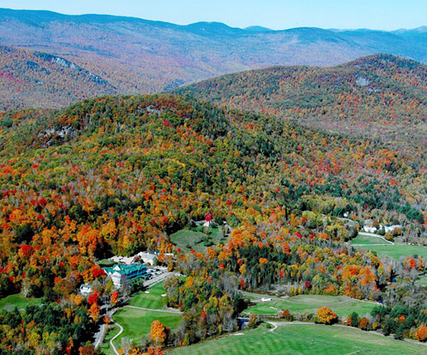 a landscape with trees and mountains