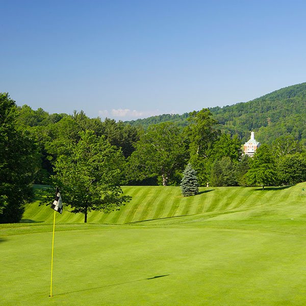 a golf course with trees and a flag