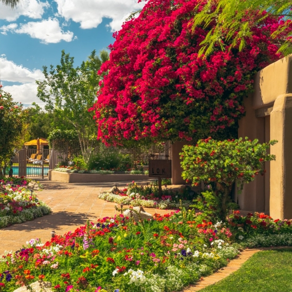 a garden with flowers and a pool