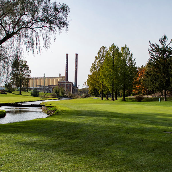 a grassy area with trees and a stream