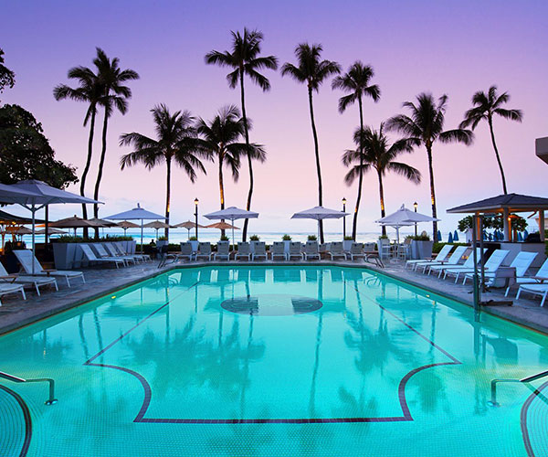 a pool with palm trees and umbrellas