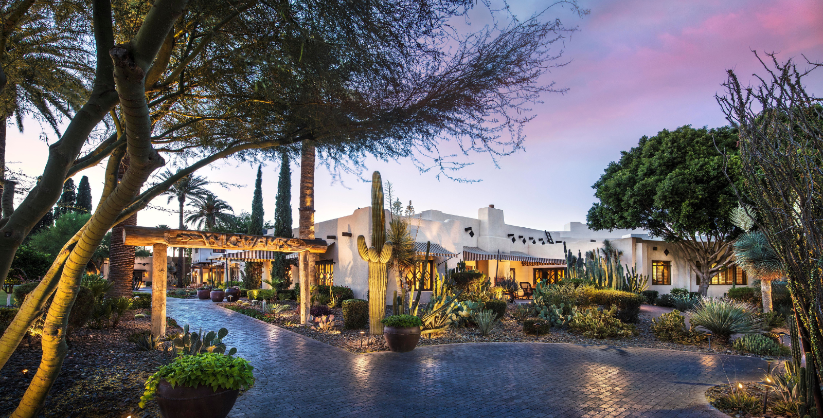 a cactus garden in front of a building