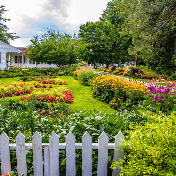 a garden with a white picket fence and a house