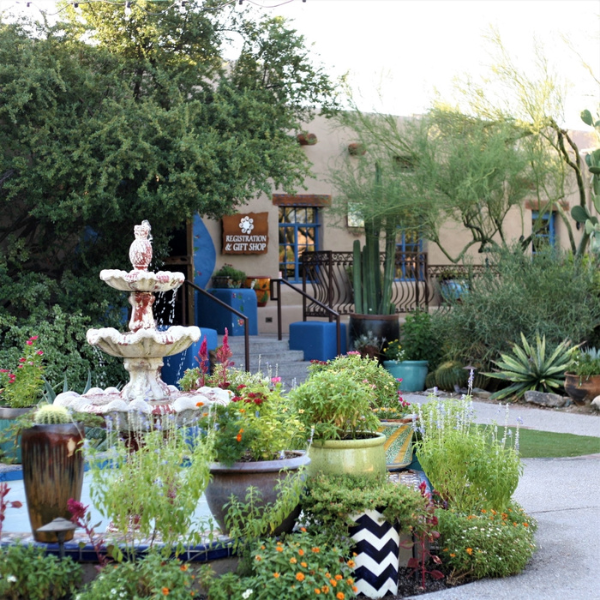 a fountain with plants in front of a building