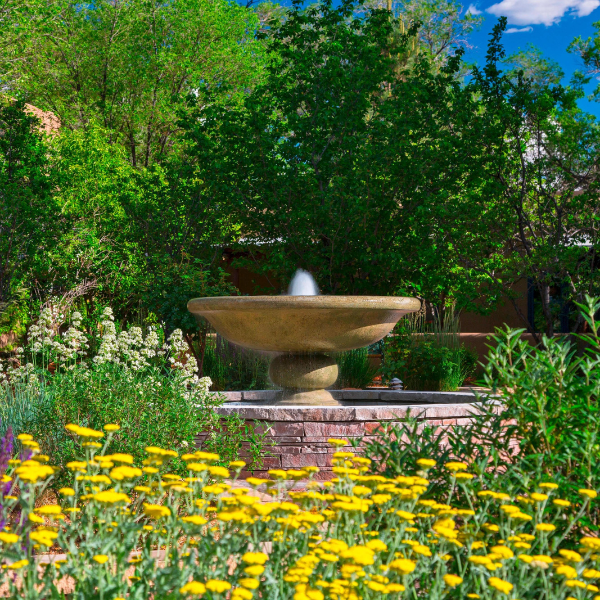 a fountain in a garden
