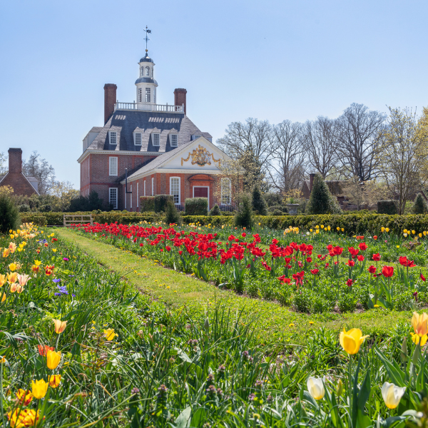 a field of flowers in front of a building