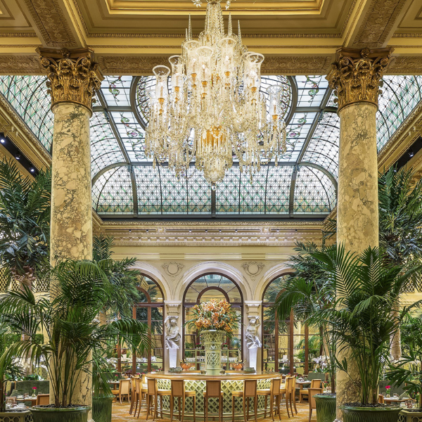 a room with a chandelier and palm trees