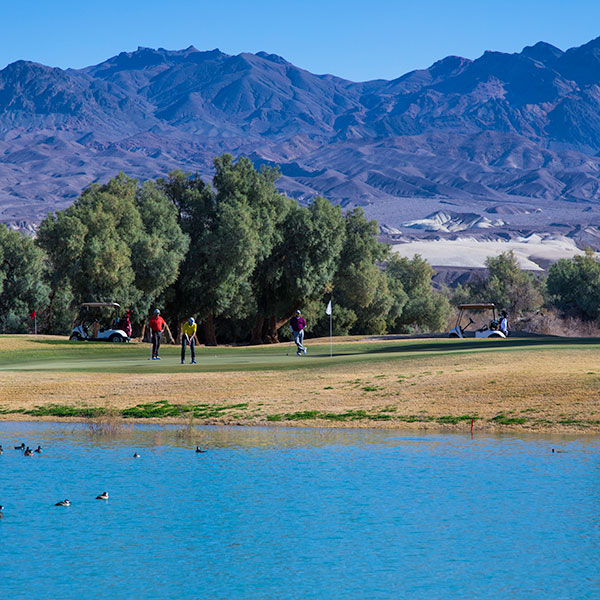 a group of people playing golf