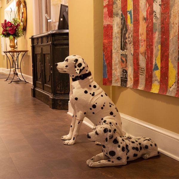 a stuffed dalmatian dogs in a hallway