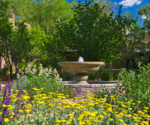 a fountain in a garden