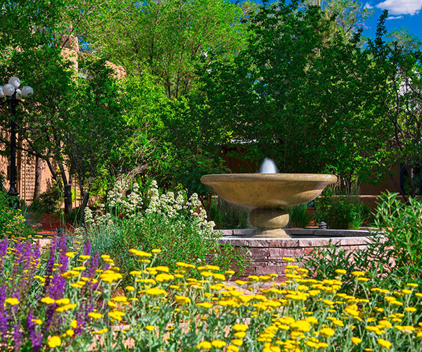 a fountain in a garden