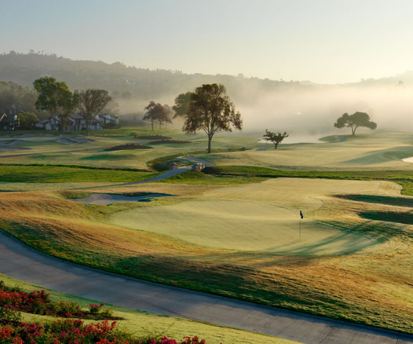a golf course with trees and a road