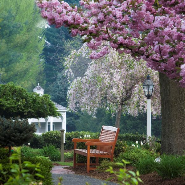 a bench in a park