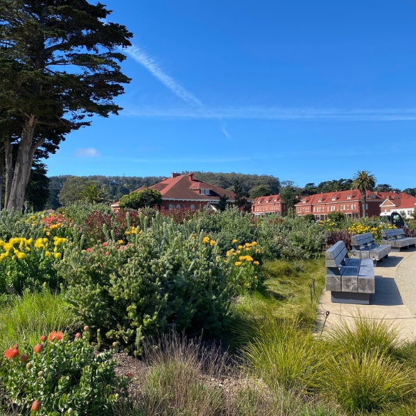 a park with benches and flowers