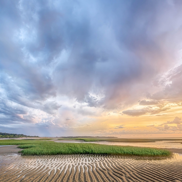a beach with grass and water