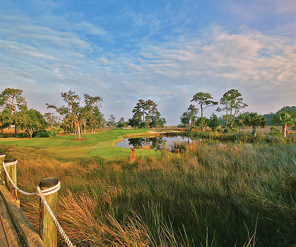 a pond and grass with trees and a fence