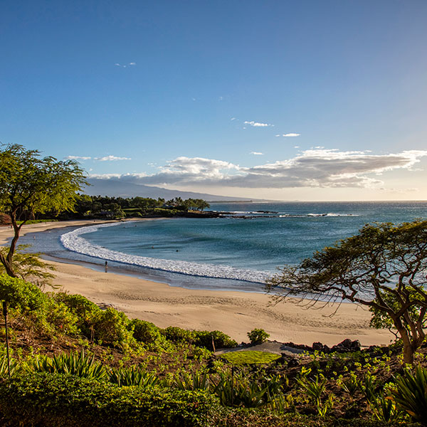 a beach with trees and water