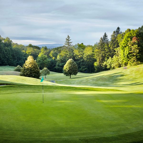 a golf course with trees and a flag