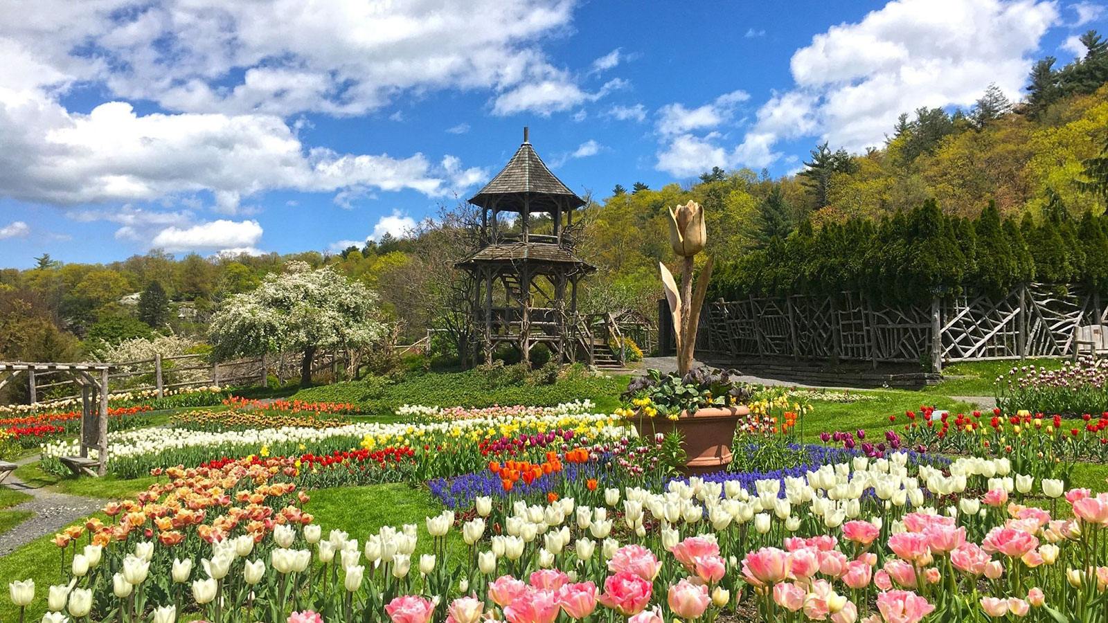 a garden with flowers and a gazebo
