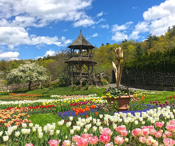 a garden with flowers and a tower