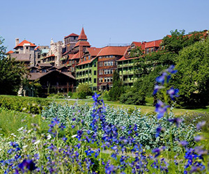a field of flowers in front of a building