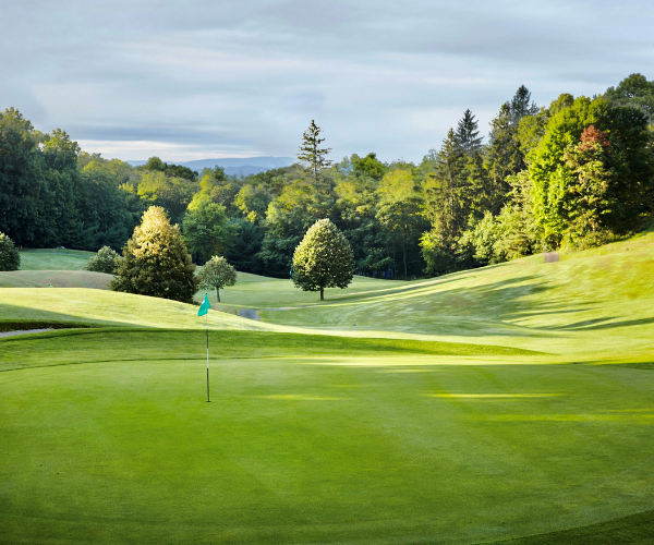 a golf course with trees and a flag