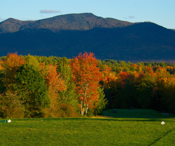 a green field with trees and mountains in the background
