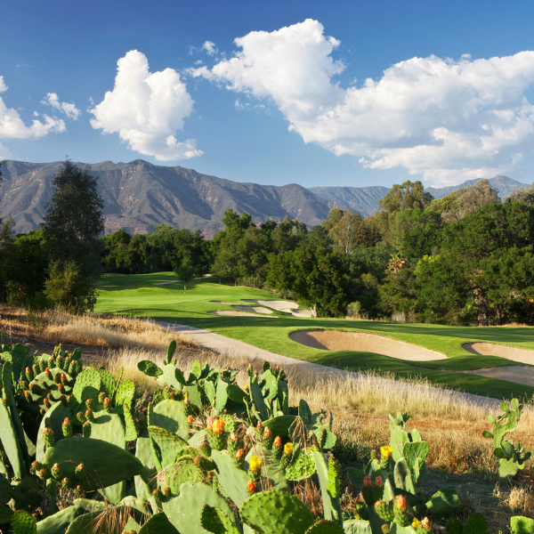 a golf course with cactuses and mountains in the background