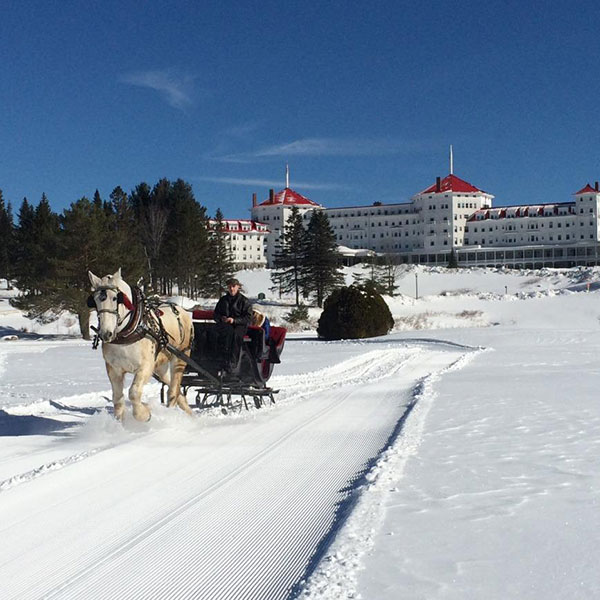 a horse drawn carriage in snow