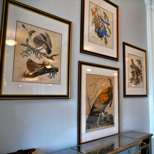 a group of framed pictures on a wall