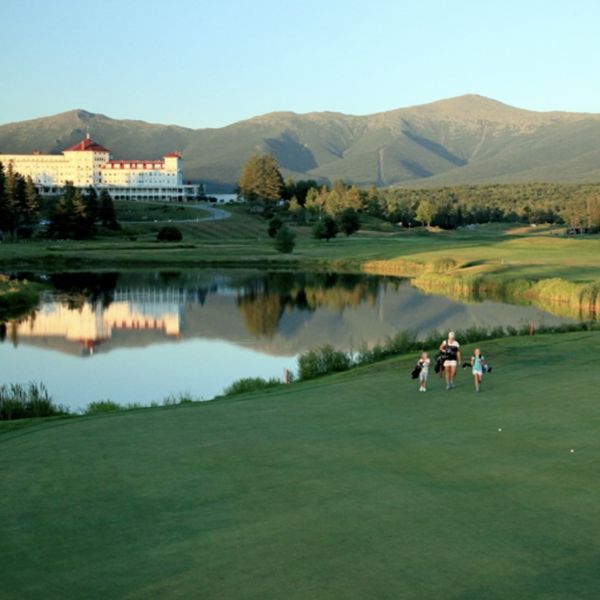 a group of people playing golf