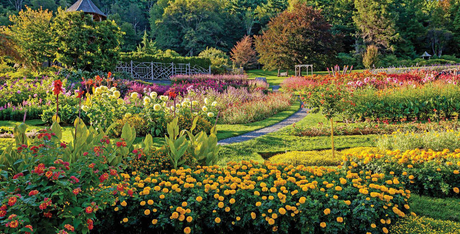 a garden with many flowers 14