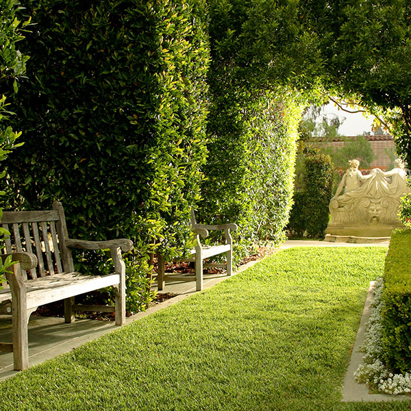 a bench in a garden