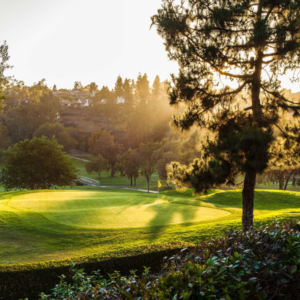 a golf course with trees and a flag