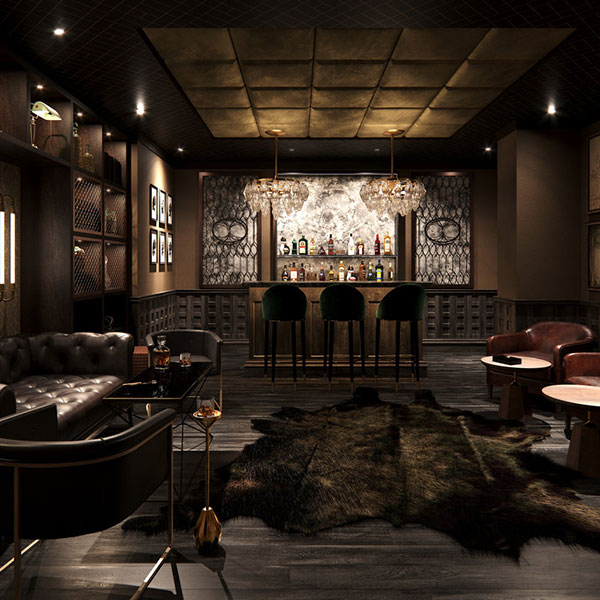 a room with a bar and a rug