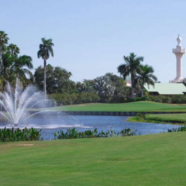 a fountain in a pond