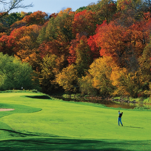 a man playing golf on a golf course