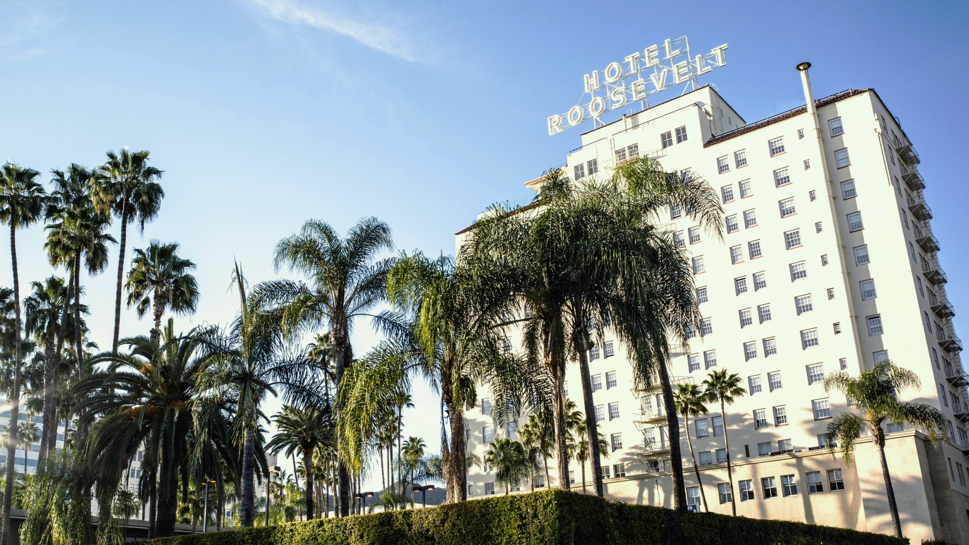 a hotel with palm trees