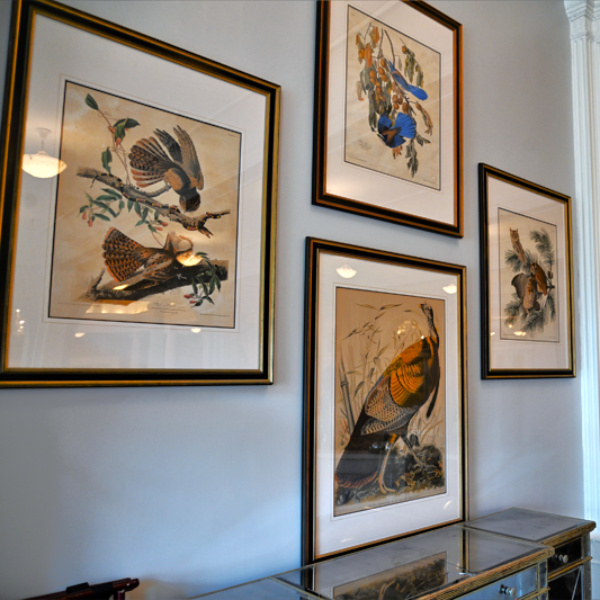 a group of framed pictures on a wall