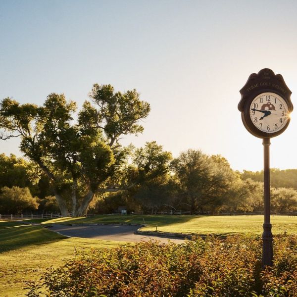 a clock on a pole in a park