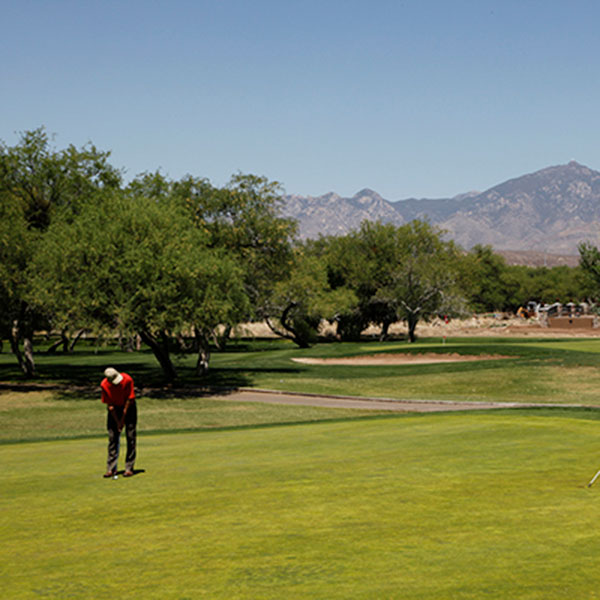 a man playing golf on a golf course