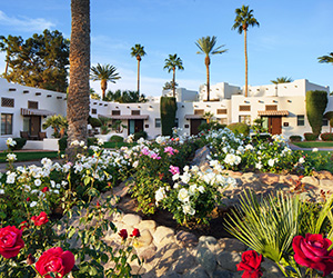 a garden of flowers and palm trees in front of a building