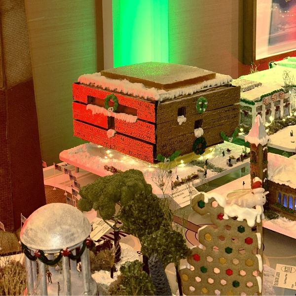 a group of houses with snow on them
