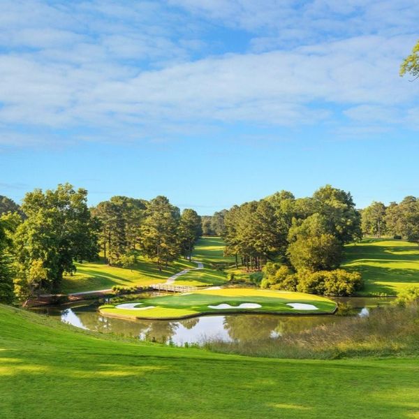 a golf course with a pond and trees