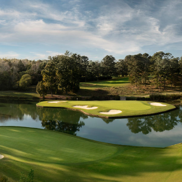 a golf course with water and trees