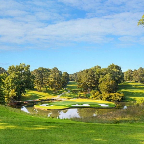 a golf course with a pond and trees
