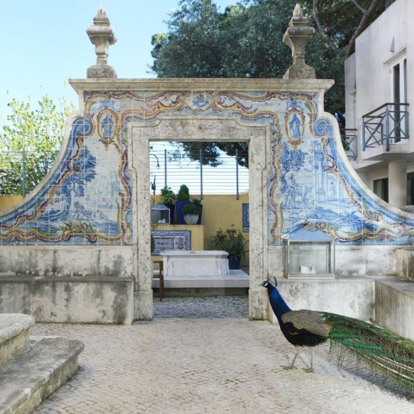 a peacock standing in front of a blue and white tiled archway