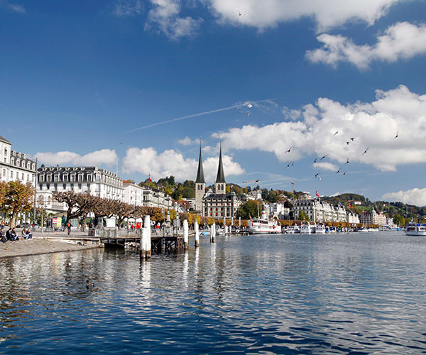 a body of water with buildings and birds flying in the sky